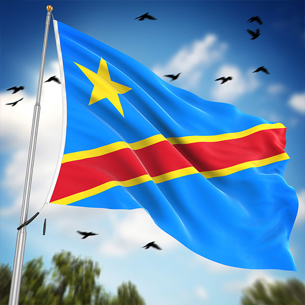 Image Drapeau RDC